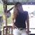 Marinda Adkins's profile image