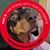 Michelle Burns's profile image
