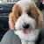 Scott A. Dailey's profile image