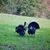 Ricky Moser's profile image