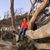 Vinh Vu's profile image