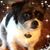 Rosemary Dock's profile image