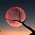 Amy Sample's profile image