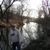 Tony Brown's profile image