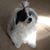 Inge Gill's profile image
