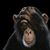 Mark Miller's profile image