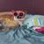 Loretta Steinert-Zipf's profile image
