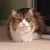 Rana Lee's profile image