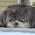 Mary Lou Bohle's profile image