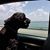 Virginia Lyn Smith's profile image