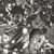 Heather Brazelton's profile image