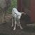 Roger Paul Kappler's profile image