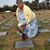 Jimmie Edwards's profile image