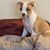 Shannon D. Jeffries's profile image