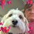 Melinda Bingham's profile image
