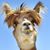 John Smith's profile image