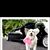 Marge Petrow's profile image