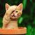 Jeanette Carr's profile image