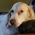 Kim Mahoney's profile image