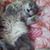 Dusty Perkey's profile image