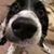 Henry Watnick's profile image