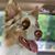 Tracy Eisenbury's profile image