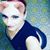 Jay Nieves's profile image