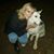 Helen van Dalen's profile image