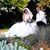 Bridgett Brainard's profile image
