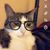 LaLania Beago's profile image