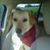 Susan Sullivan's profile image