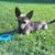 Lori Taylor Smith's profile image
