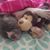 Amanda Sanchez's profile image