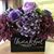 Susan Betke's profile image