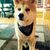 Christy Meyer Heickley's profile image