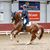 Marijke de Geus's profile image