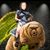 Tara Polivka's profile image