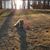 Joanne Perrotta Hoelscher's profile image