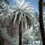 Karen Fawber's profile image
