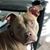 Sonia Cruz's profile image