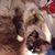 Susan Szarek McKinstry's profile image