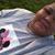 Shannon Ellison Deal's profile image