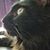 Lynn Sturm Reither's profile image
