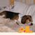 Cheryl Frederick's profile image
