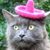 Mathew Sanders's profile image