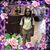 Le'Shondria Boswell's profile image