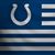 Tom Muncy's profile image