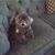 Dayna Acker Tennison's profile image