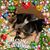 Mindi Brown's profile image