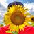 Rudi Riet's profile image